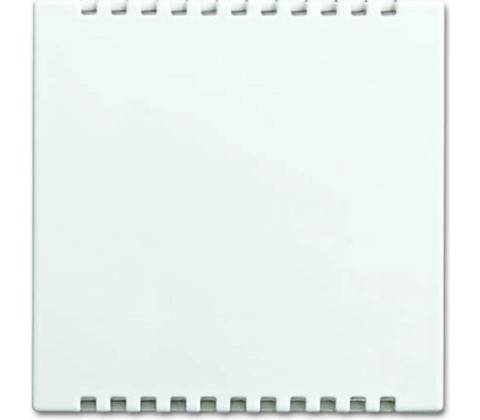 Busch-Jaeger 2CKA006599A3021