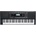 Kurzweil KP110