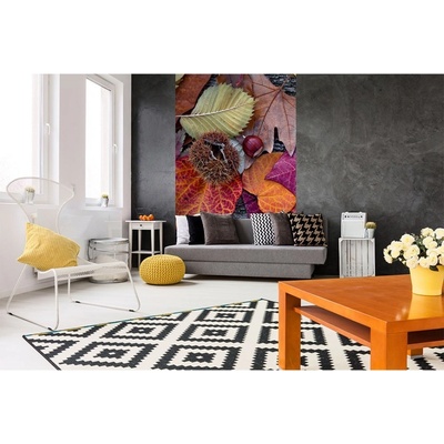 Dimex MS-2-0112 vliesová fototapeta na zeď Podzimní listí rozměry 150 x 250 cm