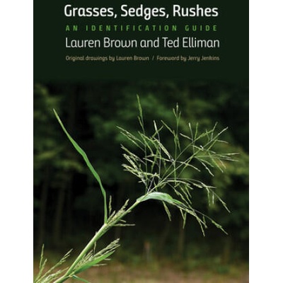Grasses, Sedges, Rushes | Lauren Brown, Ted Elliman
