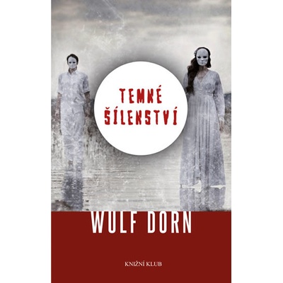 Temné šílenství - Wulf Dorn