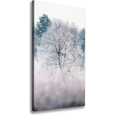Vertikálny foto obraz na plátne do obývačky Les zima 50x100 cm