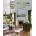 New York Interiors