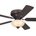 Westinghouse Everett (72154)