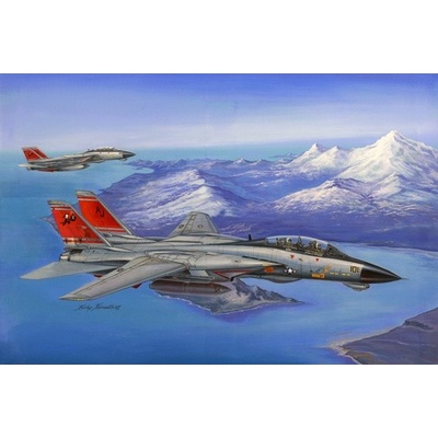 Hobby Boss Grumman F 14D Super Tomcat 1:48