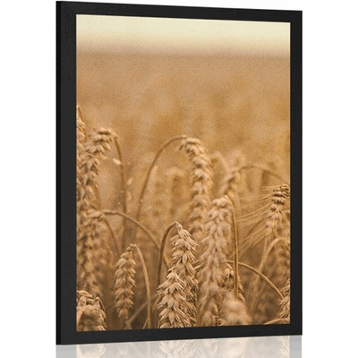 Plakát obilné pole - 30x45 black