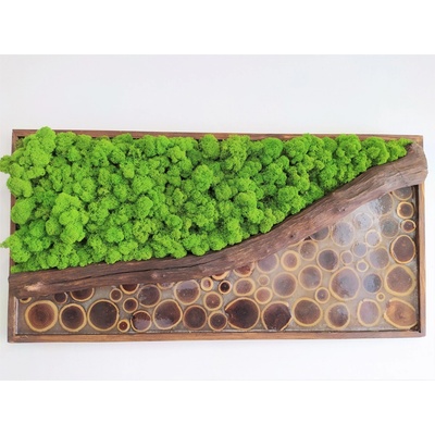 Machový obraz s epoxidom 50cm x 100cm