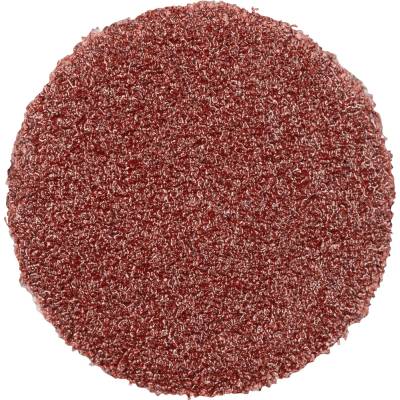 Pferd 42832018 | PSA-Discs 12 A 180