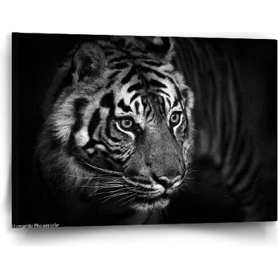 Sablio Obraz Čierno-biely tiger - 60x40 cm
