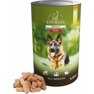 Energys Dog Premium Adult Beef 1240 g