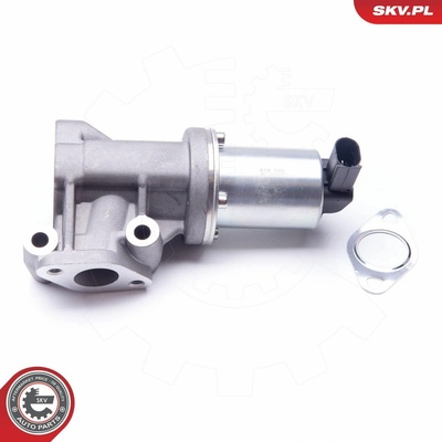 AGR - Ventil ESEN SKV 14SKV105