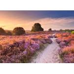 Ravensburger - Puzzle Beautiful WalkWays: Pink Pathway, Netherlands - 1 000 piese