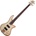 Schecter Stiletto Custom 4