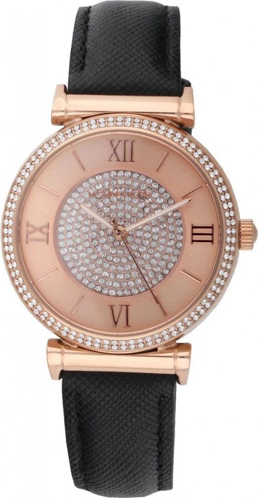 Michael Kors MK2376