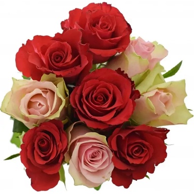 Kytice 9 míchaných růží ROSEBELLINE 40 cm