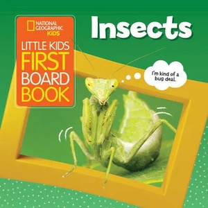 Little Kids First Board Book Insects | Ruth Musgrave (ISBN: 9781426339028)