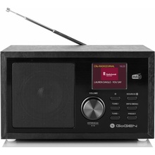 GoGEN DAB620