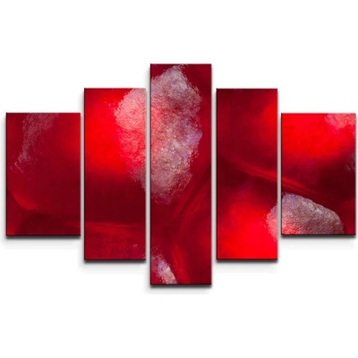 Sablio Obraz - 5-dílný Granátové jablko - 125x90 cm
