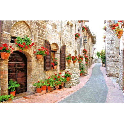 DIMEX ART Флизелинов фототапет цветна алея 375 x 250 см