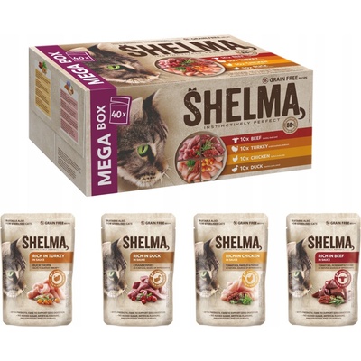 Shelma Mega Box mix 40 x 85 g