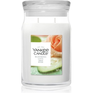 Yankee Candle Blooming Love ароматна свещ 567 гр