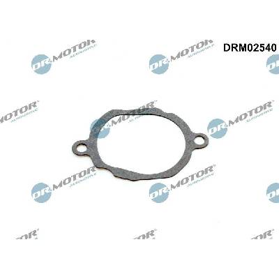 Těsnění, termostat Dr.Motor Automotive DRM02540