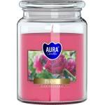 BISPOL Ароматна свещ Bispol Aura - Peony, 500 g (snd99-157)