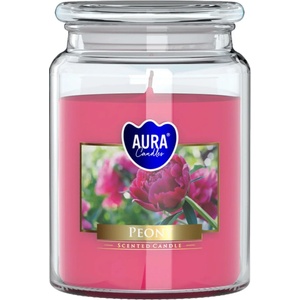 BISPOL Ароматна свещ Bispol Aura - Peony, 500 g (snd99-157)