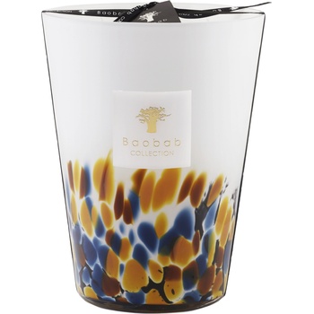 Baobab Collection Rainforest Mayumbe 24 cm