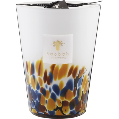 Baobab Collection Rainforest Mayumbe 24 cm