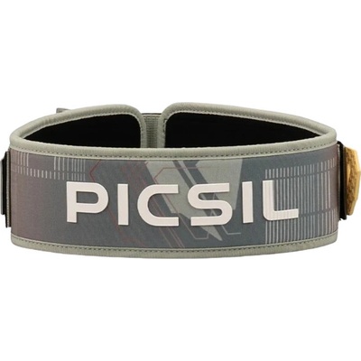 PICSIL Lumbar