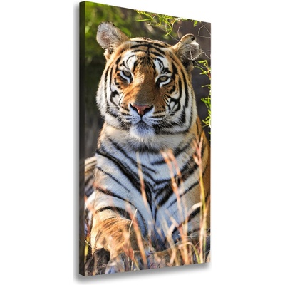 Vertikálny moderný fotoobraz canvas na ráme Tiger 50x100 cm
