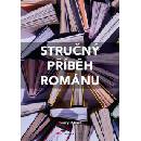 Stručný příběh románu