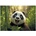 Panta Plast Папка за документи, A5 PP, патент, 180 микрона, PANTA PLAST "Panda (0410-0069-58)