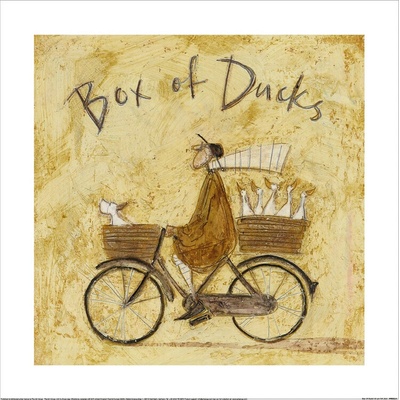 Umelecká tlač Sam Toft - Box Of Ducks, 40 × 40 cm