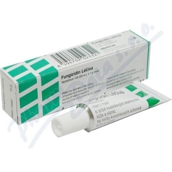 FUNGICIDIN LÉČIVA DRM 100000IU/G UNG 10G