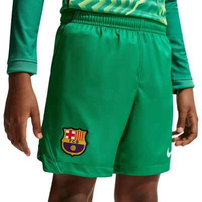 Nike Dri-FIT FC Barcelona Stadium Goalkeeper 2026/27 zelená