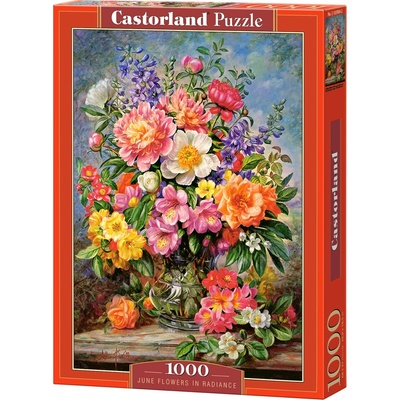 Castorland Williams June flowers in radiance 1000 dielov