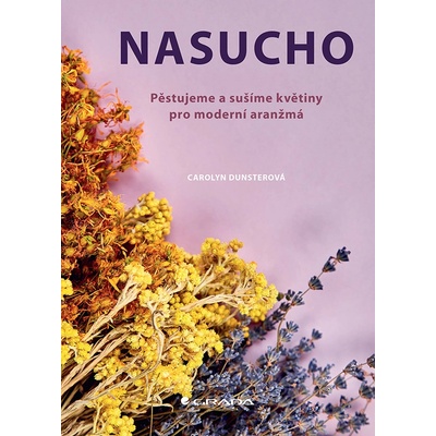 Nasucho