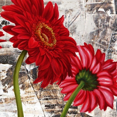 Červené gerbery 3 1 deska 30x30