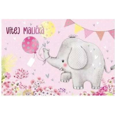 MFP paper s.r.o. Přání k narození miminka - 3D Vítej maličká