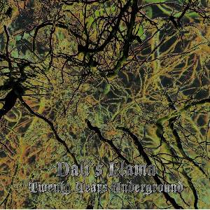 Dali's Llama - Twenty Years Underground (LP) (0667735001728)