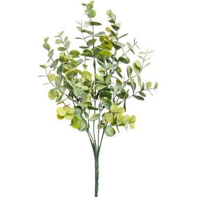 Blahovičník - Eukalyptus keř zelená (x25) v34 cm (FB108383800)