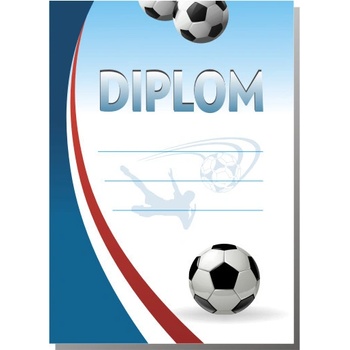 Diplom č. 17