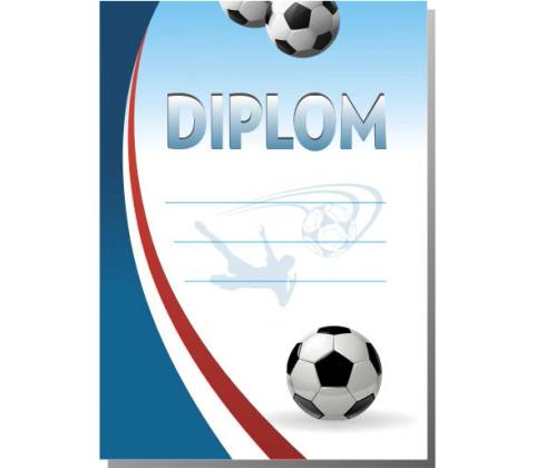 Diplom č. 17