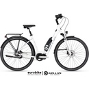 Kellys Estima 40SH 2024