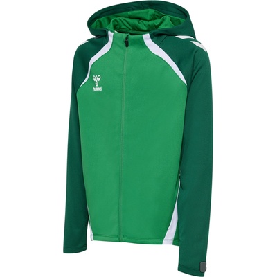 Hummel Lead 2.0 Hooded Jacket Kids 223760-6327