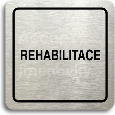 ACCEPT Piktogram rehabilitace - stříbrná tabulka - černý tisk