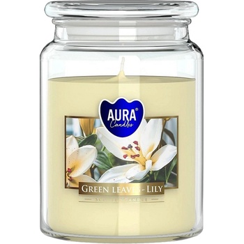 BISPOL Ароматна свещ Bispol Aura - Green Leavves Lily, 500 g (snd99-354)