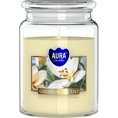 BISPOL Ароматна свещ Bispol Aura - Green Leavves Lily, 500 g (snd99-354)